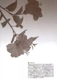 (C74) [CARNELIAN] MIDNIGHT CAR RADIO (Macross Frontier) [English] [SaHa]