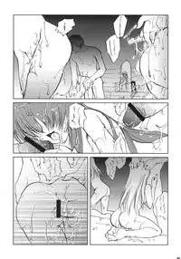 (C64) [Glassed Concrete (Narita Riuku)] Chi to Koutetsu (Demonbane)