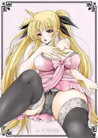 [Rivajima (Yajima Index)] Niiduma Fate (Mahou Shoujo Lyrical Nanoha) [Digital]