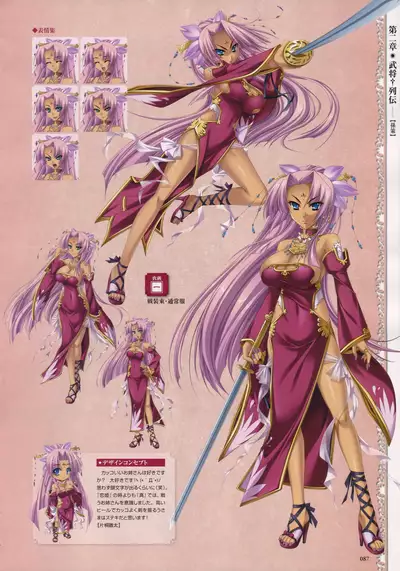 Shin Koihime Musou -Otome Ryouran Sangokushi Engi- Perfect Visual Book