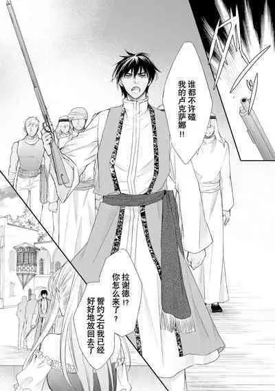 sabaku no ōji to kaizoku hime | 沙漠王子与海盗公主