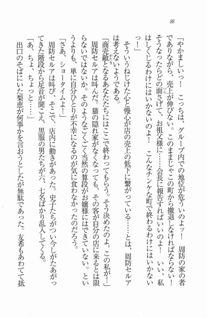 メイド喫茶 猫の隠れ家