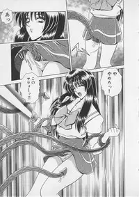 [Gun Ryuusei] Wakakusa Bishoujotai vol.4