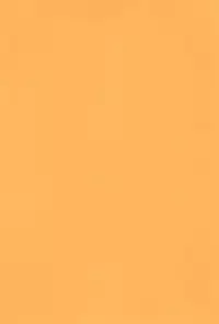 (C95) [Haigoku Ryodan (Karasuma Amiru)] Yoidore Night Wolf (Touhou Project)