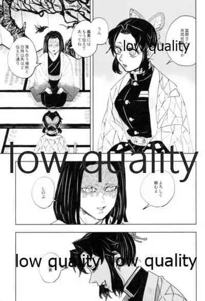 フクシアの花びら