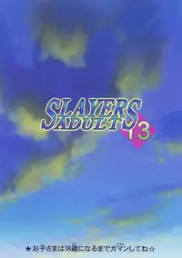 [Ginmomodou (Mita Satomi)] SLAYERS ADULT 13 (Slayers) [Digital]