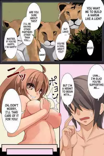 Mesu Inu Harem