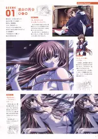 Natural 2 Duo Visual Fan Book