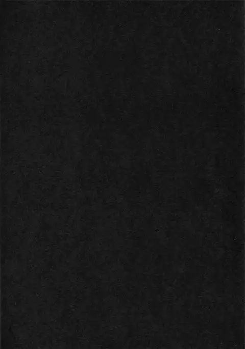 NICE TO MEET YOU, NIGHT