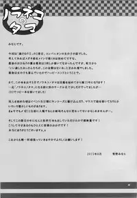 (C88) [Noraneko-no-Tama (Yukino Minato)] Magical★Companion