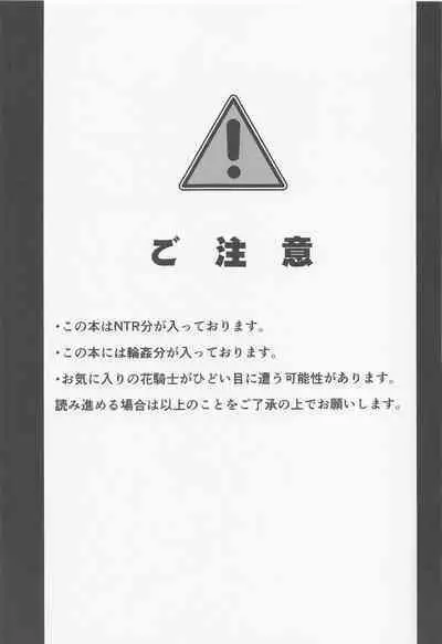 (Jabjab Maidoari! 14) [Suzunaridou (Izumi Yukiru)] Taketori Souwa (Flower Knight Girl)