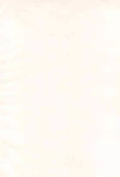 [Shimoboard (Shimosan)] Bx2 Queens (Bamboo Blade)