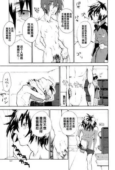 [NEO-de (Natsuzaka)] Tadashii Hito (Gundam Seed Destiny) [Chinese]