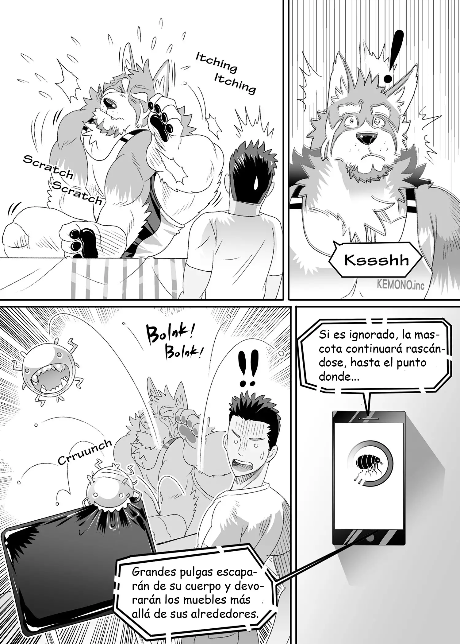 Do Not Install this FURRY App!