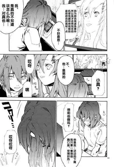 [NEO-de (Natsuzaka)] Tadashii Hito (Gundam Seed Destiny) [Chinese]