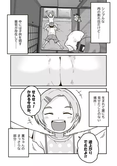 Himitsu no Himawari Mark