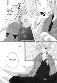 [HYSTERICS38. (Sango no Sanba)] Hitoriasobi | Solo Play (Fullmetal Alchemist) [English] [DokiDoki]