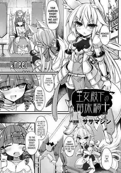 Ojou Denka No Naedoko Kishi