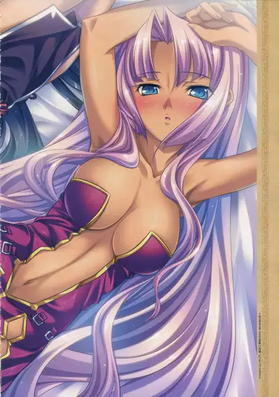 Shin Koihime Musou -Otome Ryouran Sangokushi Engi- Perfect Visual Book