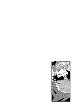 Tenkou Matsuri | The Festival of Falling Lights