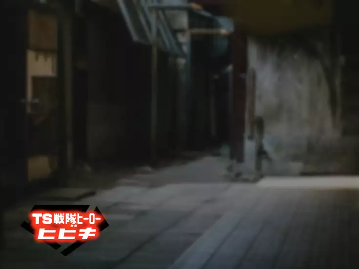 TS Sentai Hero Hibiki