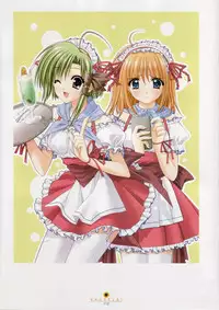 [設定資料集]SHUFFLE! Visual Fan Book