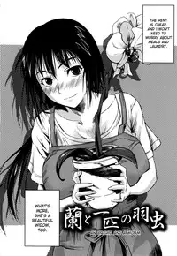 [Fuetakishi] Chu Berozu [English] [Decensored]