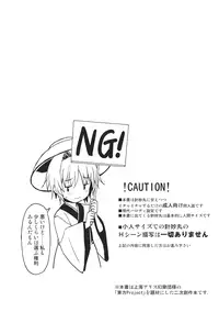 (Reitaisai 13) [Rasa House (Rasahan)] Chiisana Seesaw Lovers (Touhou Project)