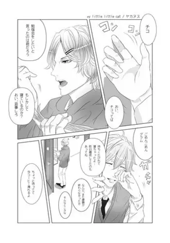 [Yakanusu] my little littlr cat