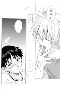 (C78) [cassino (Magarikoji Lily)] and down & down (Neon Genesis Evangelion)