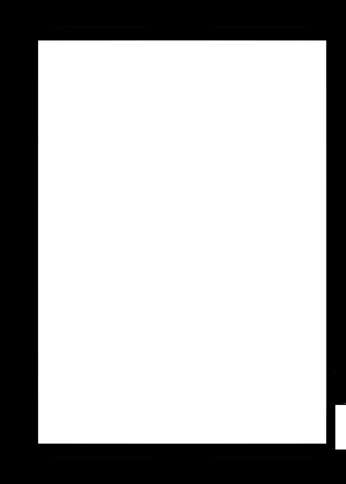 Ninniku Batake Shuukakusai Kinoe