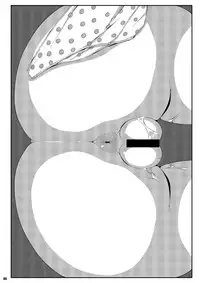 [Watosato (Sugiura Sen)] Ketsu Darake Touhou Soushuuhen Series 2 (Touhou Project) [Digital]