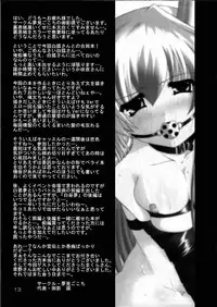 (Comic Creation 17) [Yumemigokoti, SeaFox (Mikage Baku, Kirisaki Byakko)] Yumegitsune (Touhou Project)