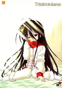 (C66) [Zangyaku Koui Teate (Nasake Muyou)] Trinitrotoluene (Shakugan no Shana)