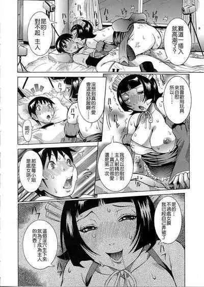 Purimu no Nikki - The Diary of Purimu