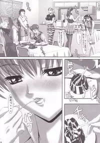 (C62) [Frapper Spirits (Hitsuki)] Oshaburi Gakuen PinSalo-ka 2 (Dead or Alive)