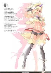 (C78) [Fujiya Honten (Thomas)] Hunter's Bible (Monster Hunter)