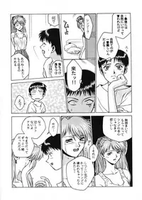 [Paradise City (Nishi Iori)]Tabeta Kigasuru 130 (Neon Genesis Evangelion)