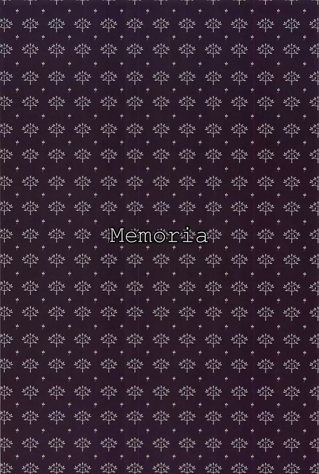 Trans Sexual Esthetic