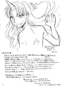 [ひじょうぐち] ふたなり文花帖