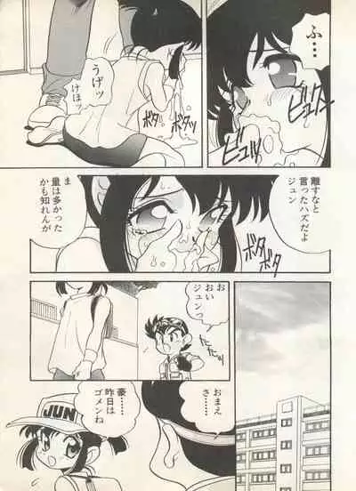 Shin Bishoujo Shoukougun 4 Houou hen