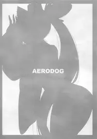 (C95) [AERODOG (inu)] Aiken Ushiwakamaru (Fate/Grand Order)