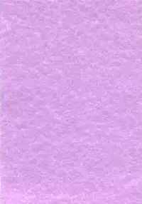 [Tsukino Jyogi] Zannen Ouji to Dokuzetsu Maid