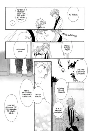 The Daydreamer Falls in Love