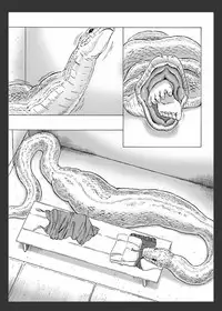 [Kasetsu Shirokuma Kakko Yoi (Yoikuma)] Onago no Ikie [Digital]