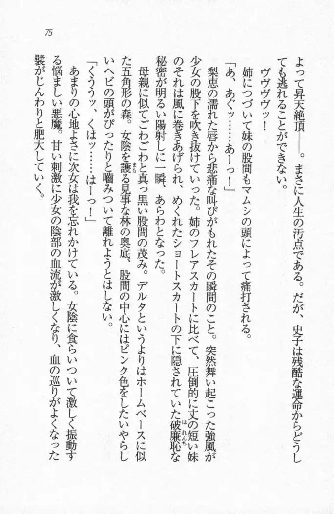 メイド喫茶 猫の隠れ家