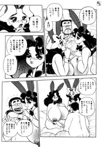 [Wingbird] - Kontoma Paradise