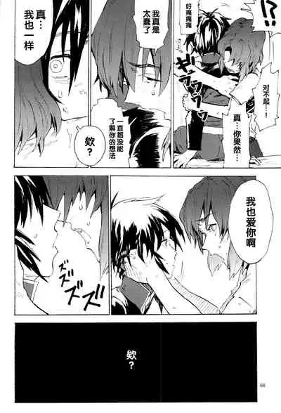 [NEO-de (Natsuzaka)] Tadashii Hito (Gundam Seed Destiny) [Chinese]