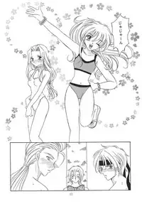 Tsuki no Hikari no Orgel