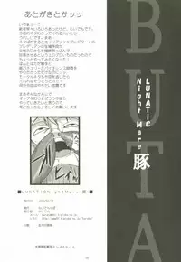 (SC42) [Raiden Labo (Raiden)] LUNATIC NightMare -Buta- (Touhou Project)